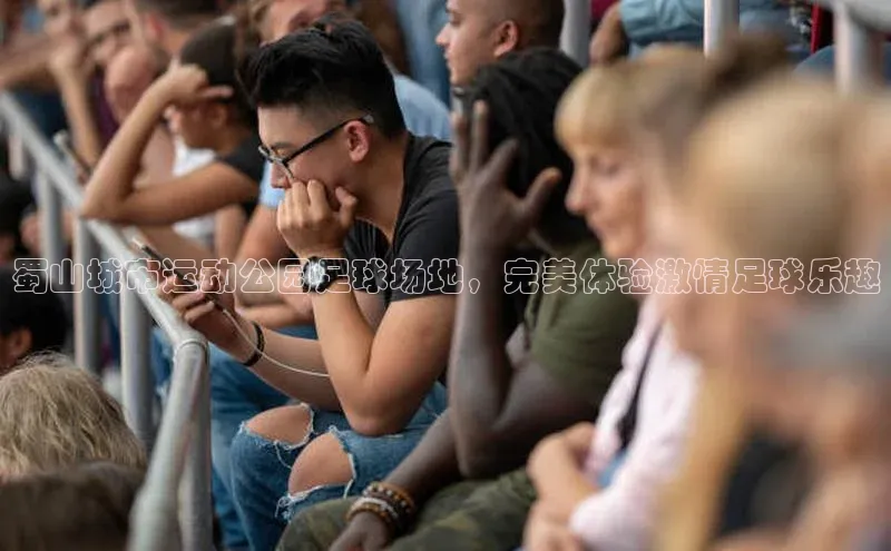 摩登7注册颐驰 06蜀山城市运动公园足球场地，完美体验激情足球乐趣