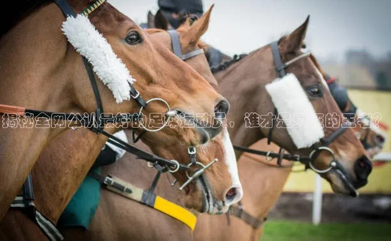 摩登7登录平台注册百度Apollo揭秘全网公认最好的足球运动员，谁才是真正的王者？