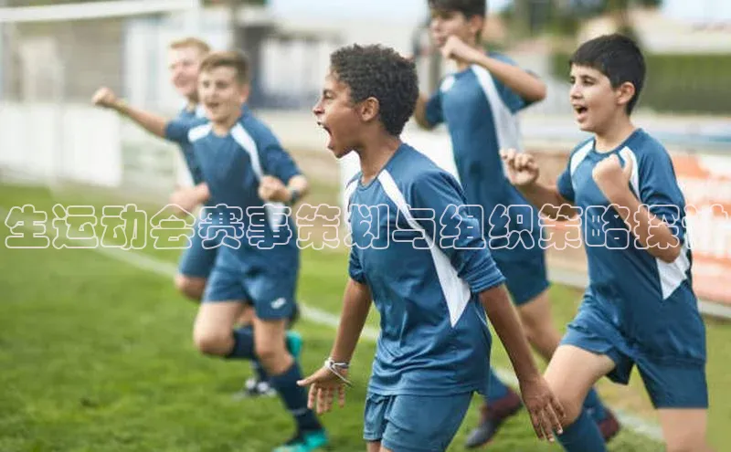 摩登7Lite直接登录百度智能云生运动会赛事策划与组织策略探讨