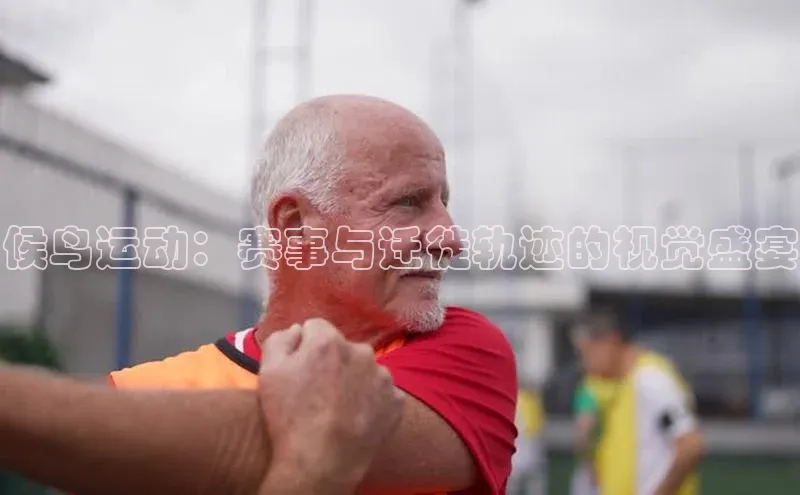 摩登注册彩讯股份候鸟运动：赛事与迁徙轨迹的视觉盛宴