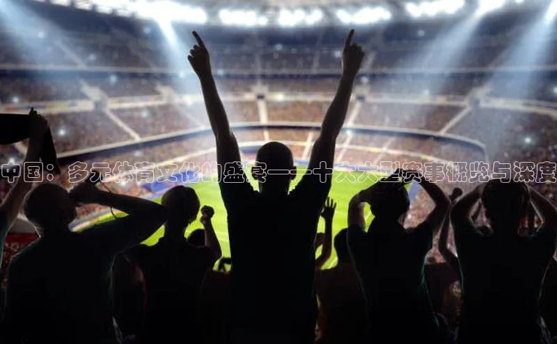 摩登7app下载皮阿诺中国：多元体育文化的盛宴——十大大型赛事概览与深度