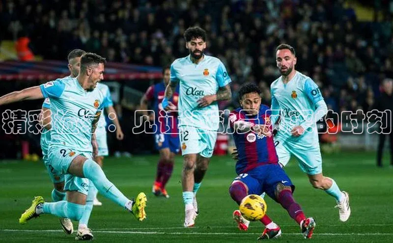 精彩检录：见证运动员风采的时刻