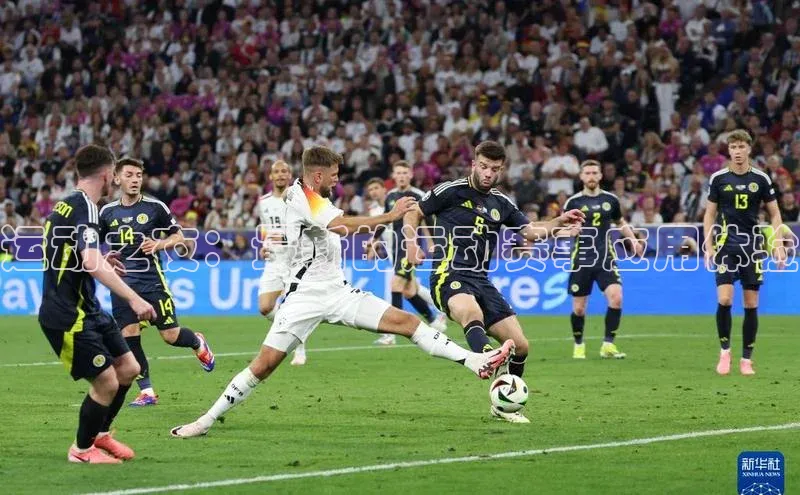 运动之夜：最新的运动赛事应用体验