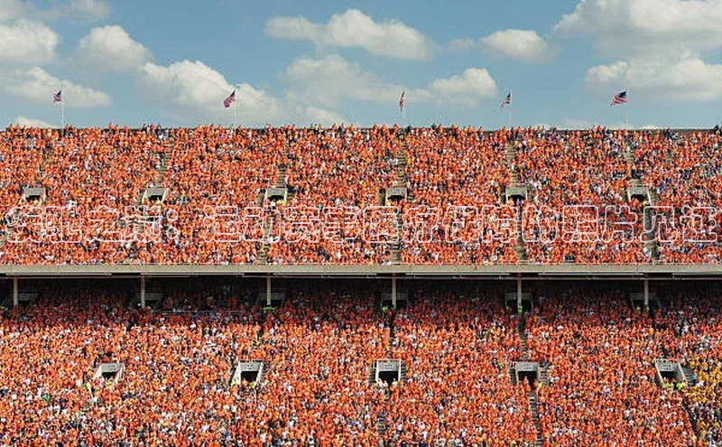 疾驰之巅：运动赛事医疗保障的照片见证