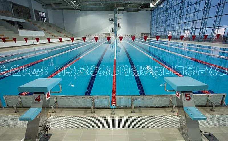 绿茵风暴：顶级足球赛事的精彩瞬间与幕后故事