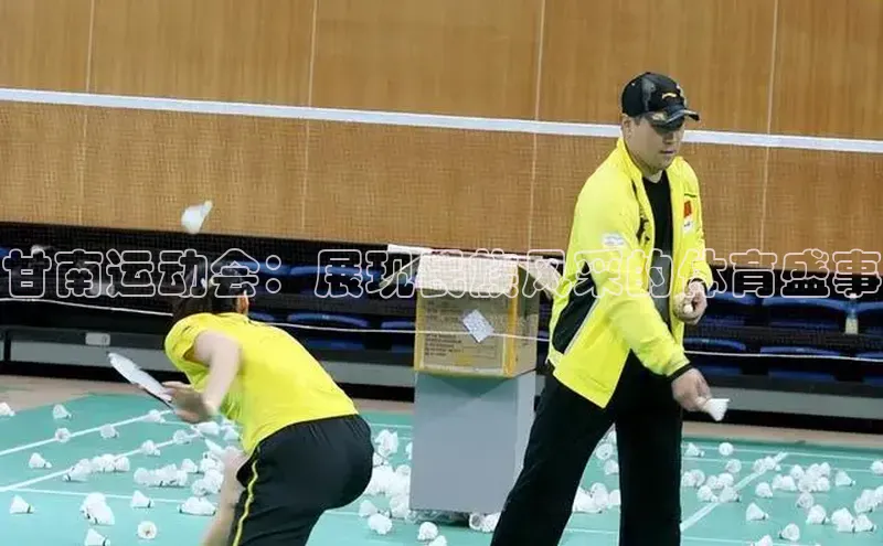 甘南运动会：展现民族风采的体育盛事