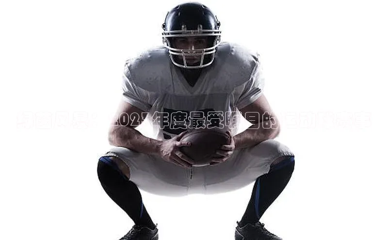 绿茵风暴：2023年度最受瞩目的运动球赛事