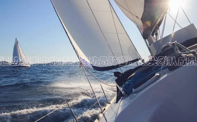 运动赛事中的顶级运动员阵容：顶尖团队成员