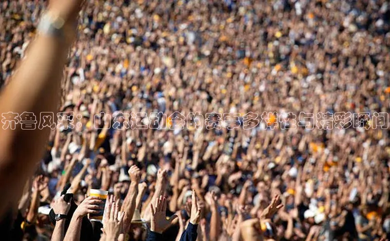 齐鲁风采：山东运动会的赛事多样性与精彩瞬间