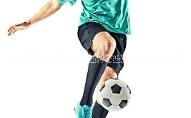 飞跃极限：庆祝2023年世界马拉松锦标赛盛大开幕