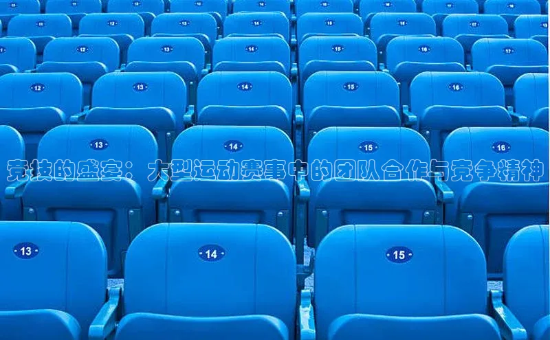 竞技的盛宴：大型运动赛事中的团队合作与竞争精神